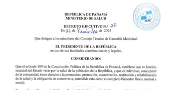 Cannabis medicinal: qué productos estarán disponibles y quiénes podrán acceder
