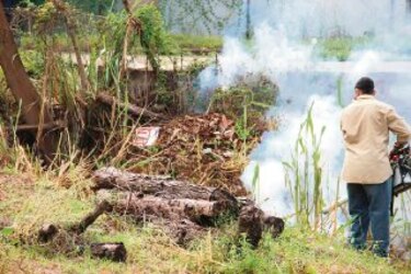400 casos positivos de dengue en la provincia de Herrera