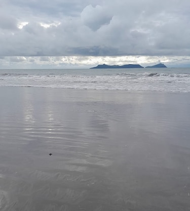 Liberación de tortugas en Punta Chame: una lección de resiliencia y conservación