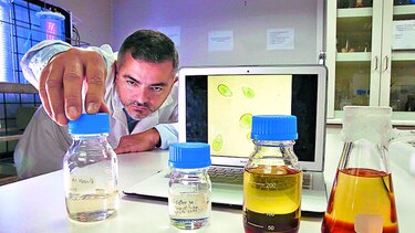 Producción de biodiésel a partir de microalgas