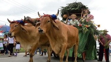 Santeños celebran el grito