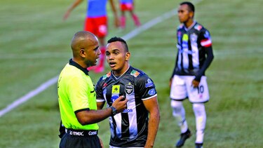Tauro busca despertar