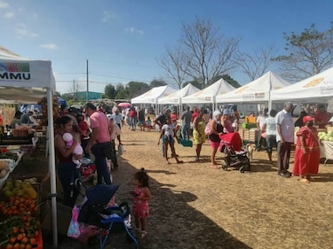 Dos consorcios compiten en licitación de nuevo mercado municipal por $11.9 millones