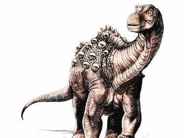Descubren restos del primer dinosaurio que vivió en  Ecuador     