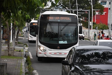 MiBus publica licitación para la adquisición de 60 buses medianos por $9.6 millones