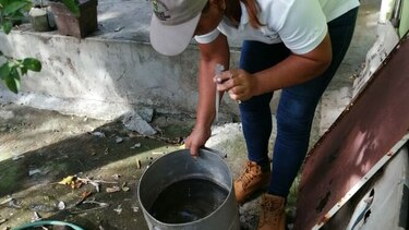 Autoridades de salud de Herrera en alerta por incremento de los casos de dengue