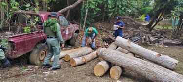 Miambiente crea equipo especializado para combatir delitos ambientales