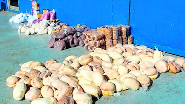 Investigan la entrada de productos al país