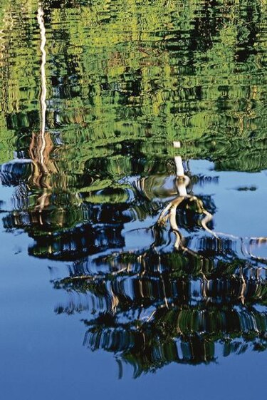 Latinoamérica es la zona con menos espacios naturales protegidos