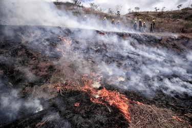 Más de 1,000 hectáreas son afectadas por 70 incendios forestales en Honduras