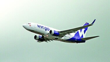 Wingo busca expandir sus alas en la región