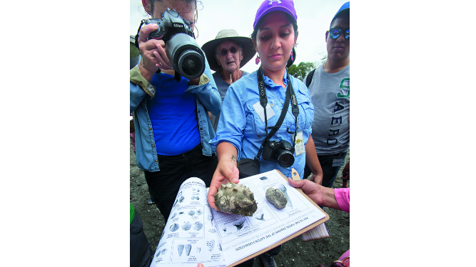 Naturaleza, ciencia y educación