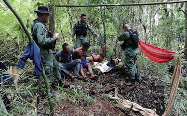 Detenciones por tala ilegal  en el Parque Nacional Camino de Cruces
