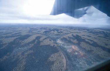 La lluvia ayuda a los bomberos en Australia