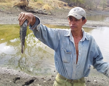 Atribuyen a la falta de oxígeno la muerte de peces en represa La Laja