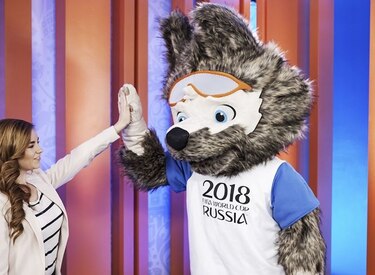 Rusia estaría eliminando a perros callejeros para limpiar las ciudades del Mundial