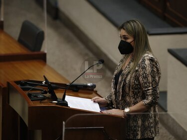 Llega a la Asamblea proyecto de ley de retorno de trabajadores con contratos suspendidos y reactivación de empresas