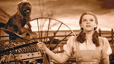 Judy Garland, la estrella solitaria