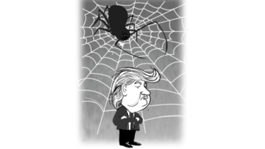 La estrategia de la araña