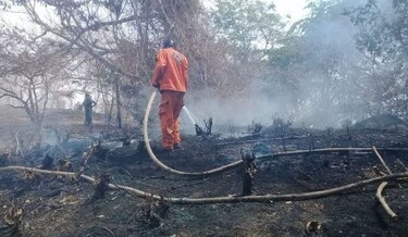 Miambiente diseña operativo para mitigar los incendios forestales en Azuero