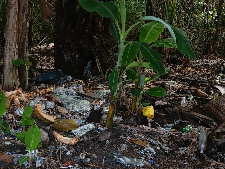 MiAmbiente cierra por un año la Isla Escudo de Veraguas para proteger ecosistemas en peligro crítico