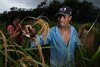 El camino hacia  una política agroalimentaria de Estado