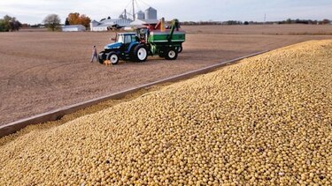 Humedad pasa factura a productores argentinos