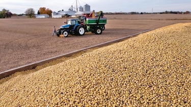 Humedad pasa factura a productores argentinos