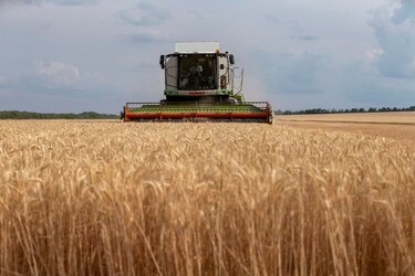La producción de cereales alcanzará su máximo histórico