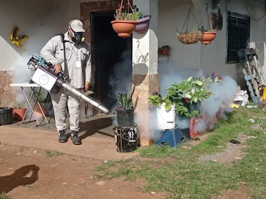 OMS pide a países americanos estar extremadamente alertas ante aumento de los casos de dengue 