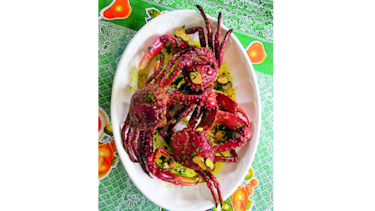 Cocina gourmet: Delicias del mar