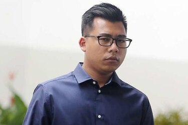 Cuatro meses de cárcel para hombre que tiró a una gata desde un décimo piso: Singapur