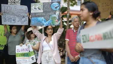 Procurador pide informes sobre contrato de isla Boná