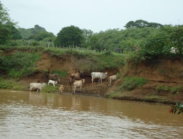 Tras contaminación de río piden que se elimine ley que obliga uso de etanol