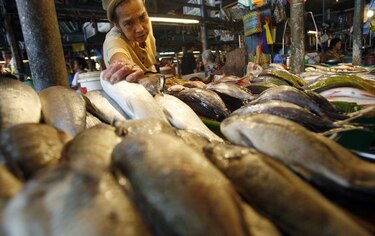 FAO: Crecen los casos de alimentos contaminados