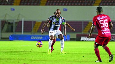 La mirada del capi