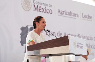 Sheinbaum dice a Estados Unidos que México ‘no es piñata’ y que se dediquen a sus ‘problemas’