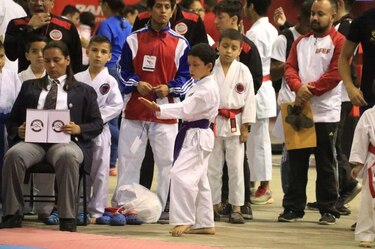 Competencia de karate se apodera de la Arena Roberto Durán