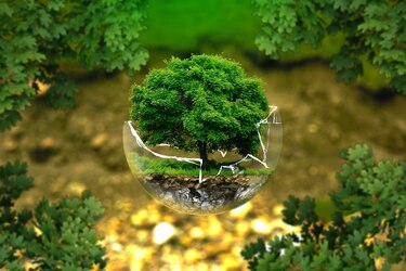 Nuestro planeta, nuestra salud