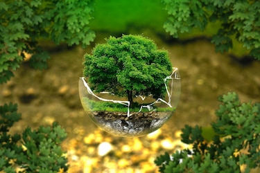 Nuestro planeta, nuestra salud