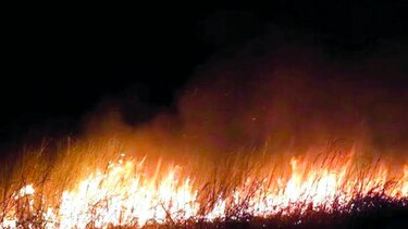 Fuego en refugio silvestre de Tonosí