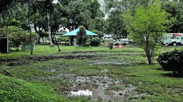 Obras en parque Urracá, a la espera de refrendo