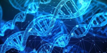Ciencias básicas para el desarrollo
