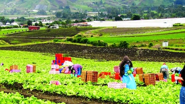 Destinan $50 mil para distrito de Tierras Altas