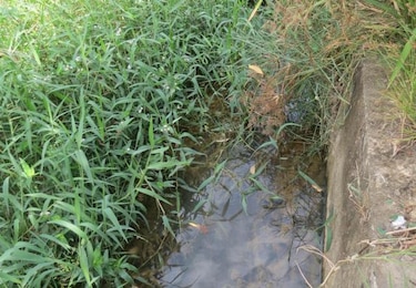 Reportan caso sospechoso de dengue con signos de alarma en Penonomé