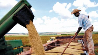Cultivos de soja en EU disminuirían por aranceles chinos