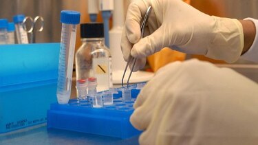Se detectan dos casos más de virus hanta en la provincia de Los Santos