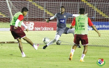 La Selección hará una pausa a la espera de los amistosos