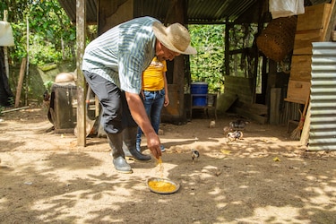 16% de los emprendedores en Panamá cerraron luego de la pandemia
