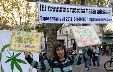 Marcha por la marihuana en Uruguay suma reclamo por cannabis medicinal